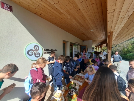 25 Dan zelisc znanja in dozivetij